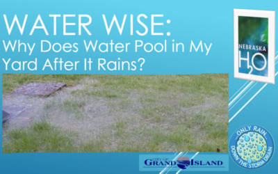 Why Does Water Pool In My Yard After It Rains?