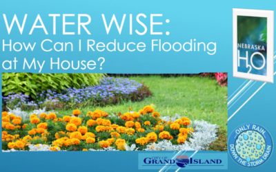 How Can I Reduce Flooding at My House?