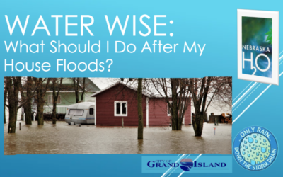What Should I Do After My House Floods?
