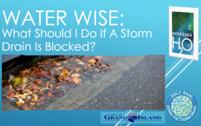 What Should I Do If a Storm Drain Is Blocked?