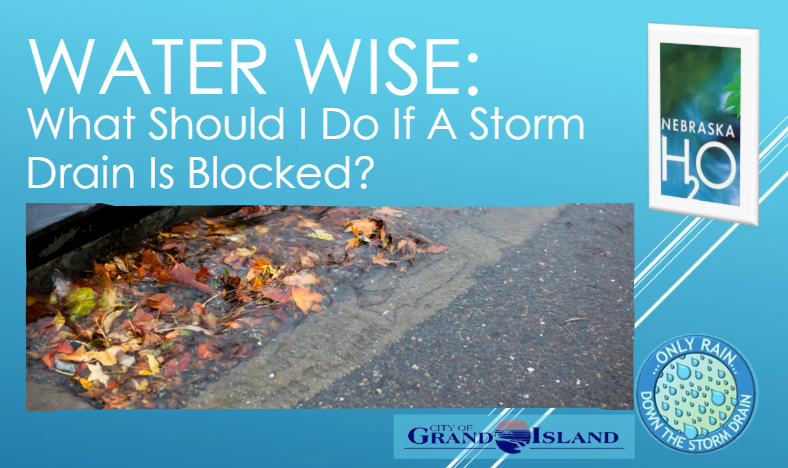 What Should I Do If a Storm Drain Is Blocked?