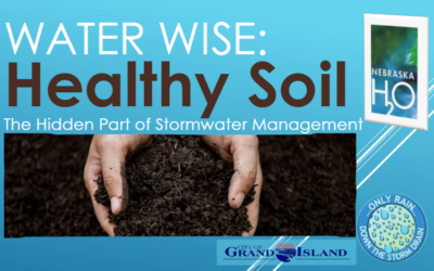 Healthy Soil, Healthy Water: How Soil Health Helps Manage Stormwater