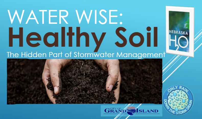 Healthy Soil: The Hidden Part of Stormwater Management