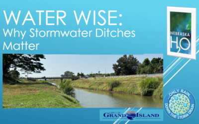 Why Stormwater Ditches Matter