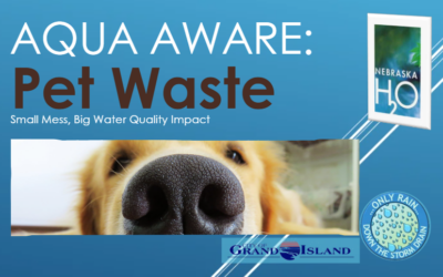 Pet Waste: Small Mess, Big Quality Impact