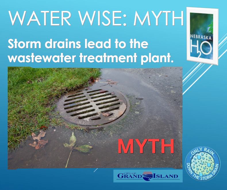 Myth: Storm drains lead to the wastewater treatment plant