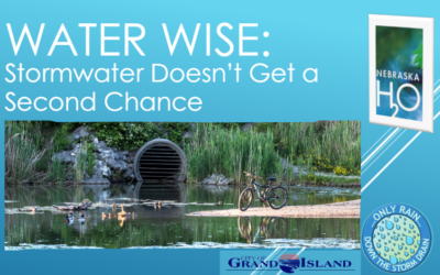 Why You Can’t Dump Anything Into a Storm Drain
