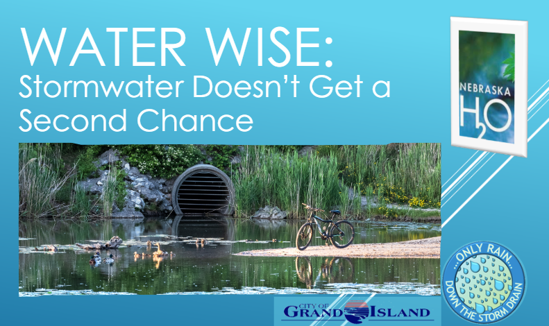 Why You Can’t Dump Anything Into a Storm Drain