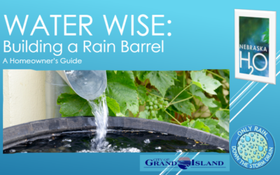 Building a Rain Barrel: A Homeowner’s Guide