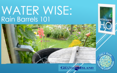 Rain Barrels 101