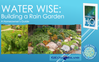 Building a Rain Garden: A Homeowner’s Guide
