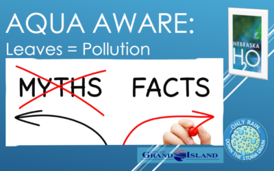 Myth vs Fact: Can Leaves Be Pollution?