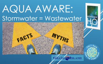 Myth vs Fact: Does stormwater go to the wastewater treatment plant?