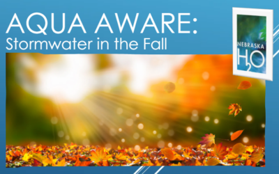 Stormwater in the Fall