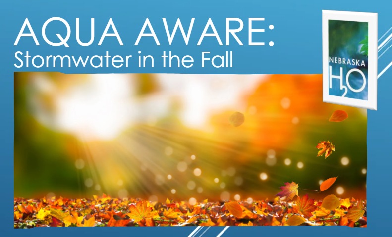 Stormwater in the Fall