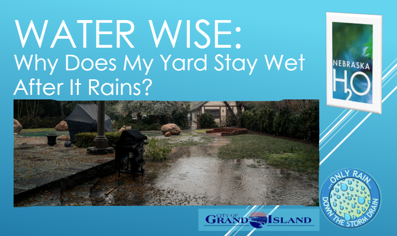 Why Does My Yard Stay Wet After It Rains?