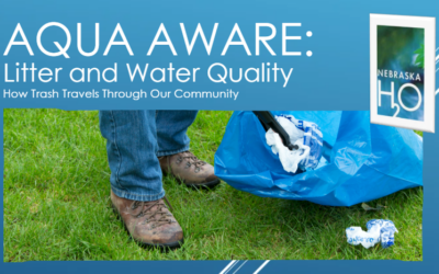 Litter and Water Quality: How Trash Travels Through Our Community