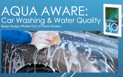 Car Washing and Water Quality: Keep Soapy Water Out of Storm Drains
