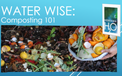 Composting 101: Turning Yard Waste Into Healthy Soil