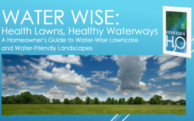 A Homeowner’s Guide to Water-Wise Lawn Care and Water-Friendly Landscapes