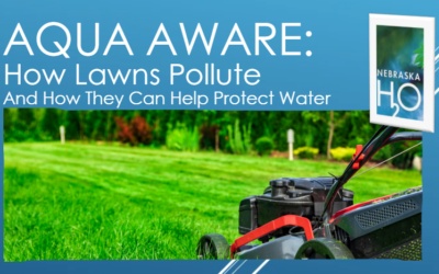 How Lawns Pollute – And How They Can Help Protect Water