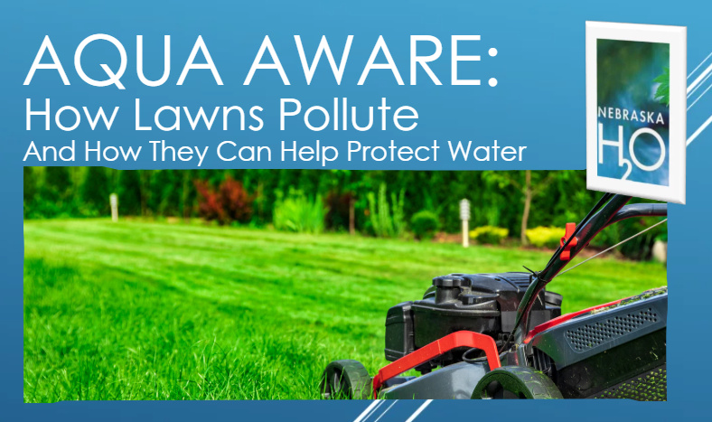 How Lawns Pollute – And How They Can Help Protect Water