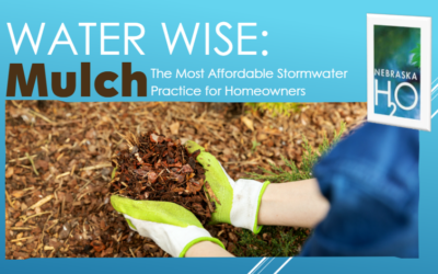 Mulch: The Most Affordable Stormwater Practice for Homeowners