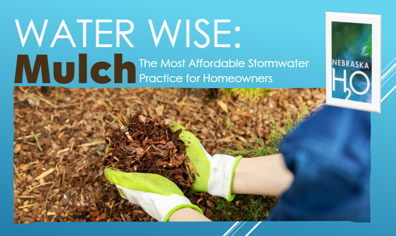 Mulch: The Most Affordable Stormwater Practice for Homeowners