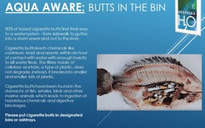 Please Keep Cigarette Butts Out Of The Environment