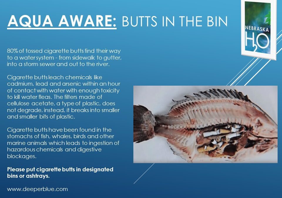 Please Keep Cigarette Butts Out Of The Environment