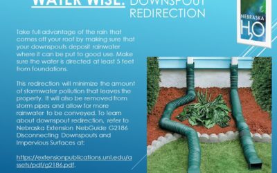 Water Wise: Downspout Redirection