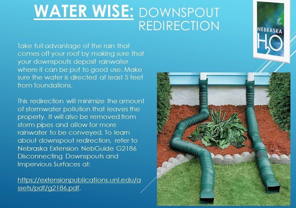 Downspout Redirection