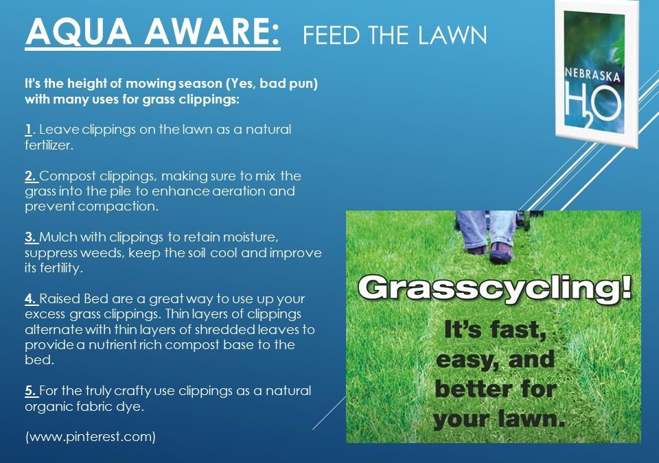 Methods For Using Grass Clippings!