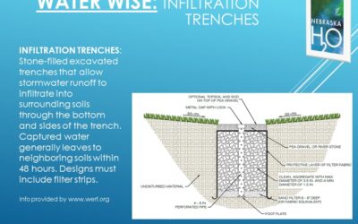 Infiltration Trenches for Residential Neighborhoods