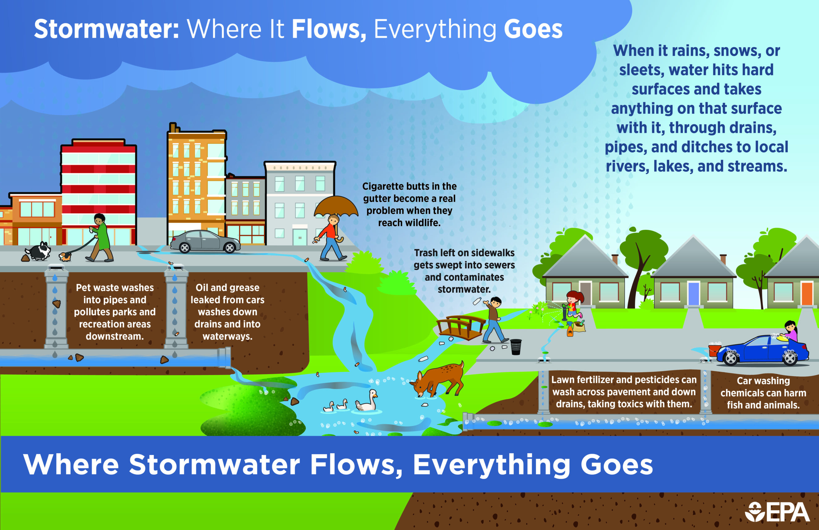 Stormwater Flow Infographic