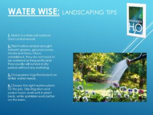 Landscape Tips