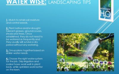 Landscaping Tips for Residential Yards and Gardens