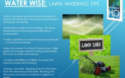 Water Wise: Lawn Care Ideas