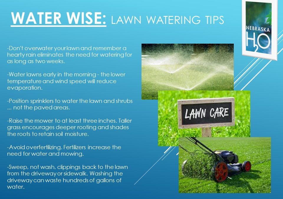 Residential Lawn Care Ideas