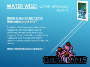 Native Nebraska Plants