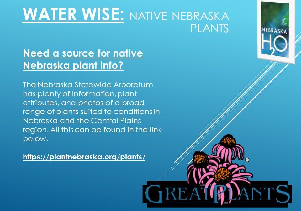 Nebraska Native Plants