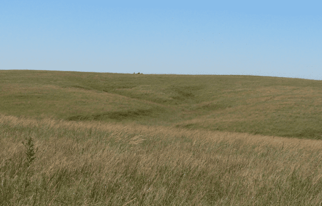 Tallgrass prairie