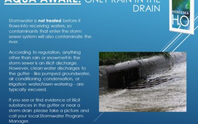 Only Rain Goes In The Drain