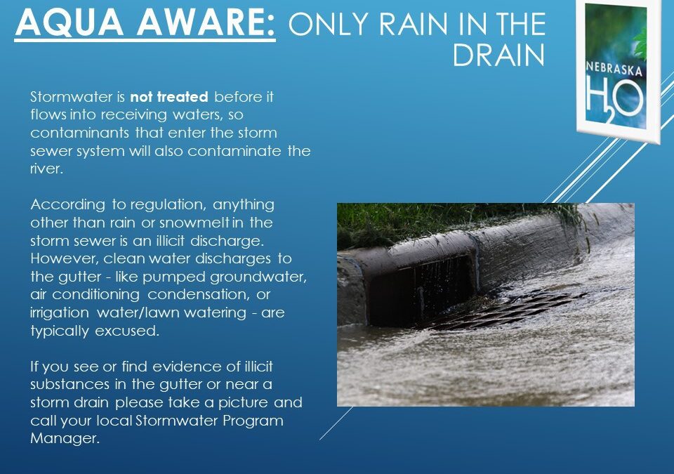 Only Rain Goes In The Drain