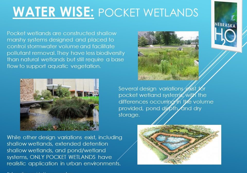 Pocket Wetlands