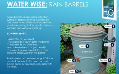 Rain Barrels: Stormwater for a Dry Day