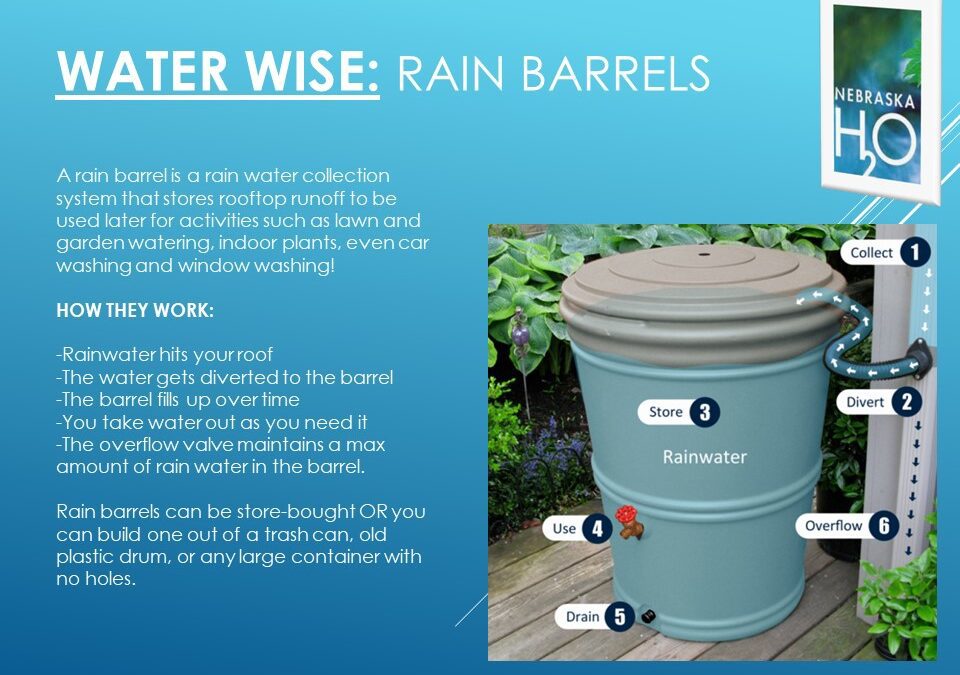 Rain Barrels: Stormwater for a Dry Day