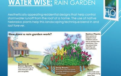 Rain Gardens help improve quality of stormwater.