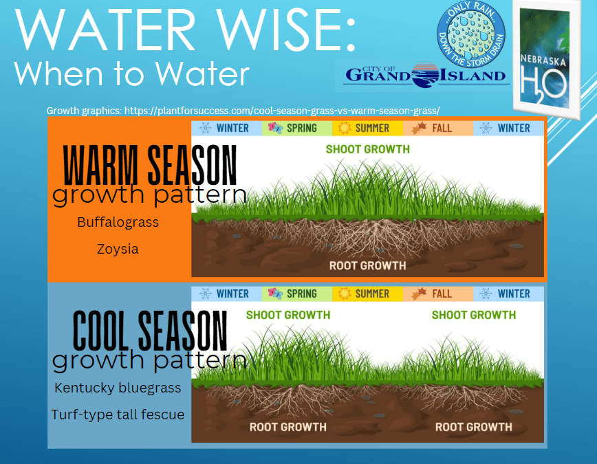 Screenshot 2024 05 08 100913