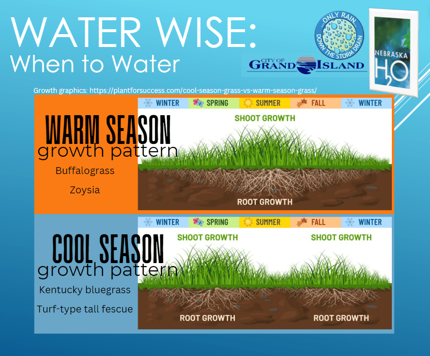 Healthy residential lawn maintained using water-friendly lawn care practices